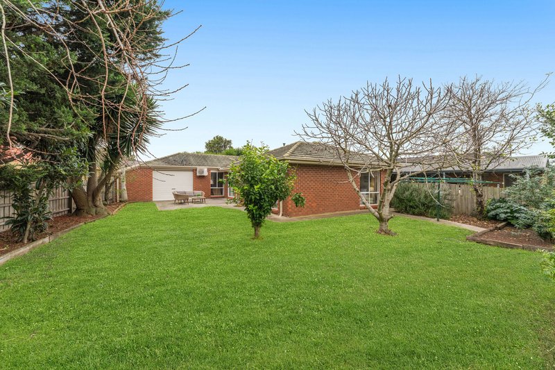 Photo - 3 Bellevue Drive, Berwick VIC 3806 - Image 16