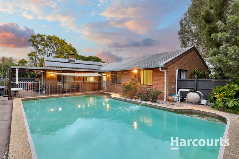 Photo - 3 Belrose Avenue, Petrie QLD 4502 - Image