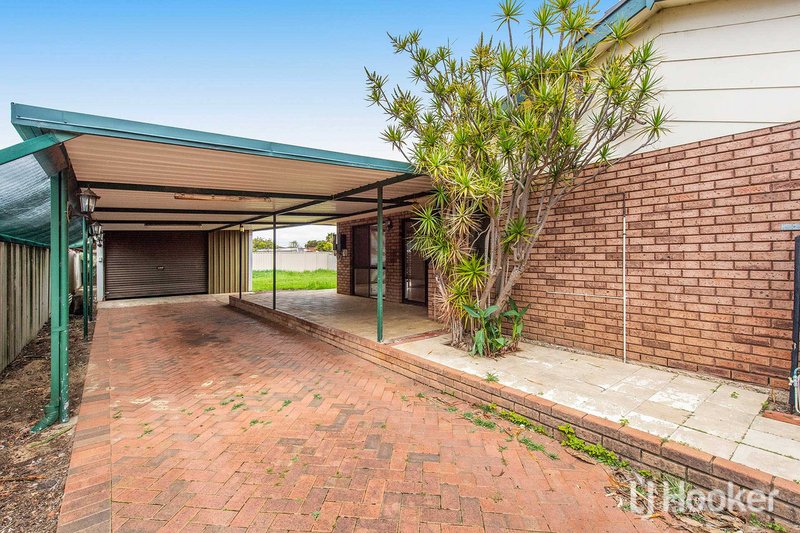 Photo - 3 Birmingham Way, Pinjarra WA 6208 - Image 10