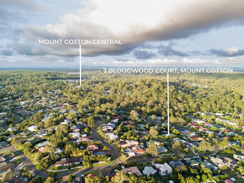 Photo - 3 Bloodwood Court, Mount Cotton QLD 4165 - Image 28