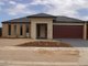 Photo - 3 Blue Jay Crescent, Tarneit VIC 3029 - Image 1