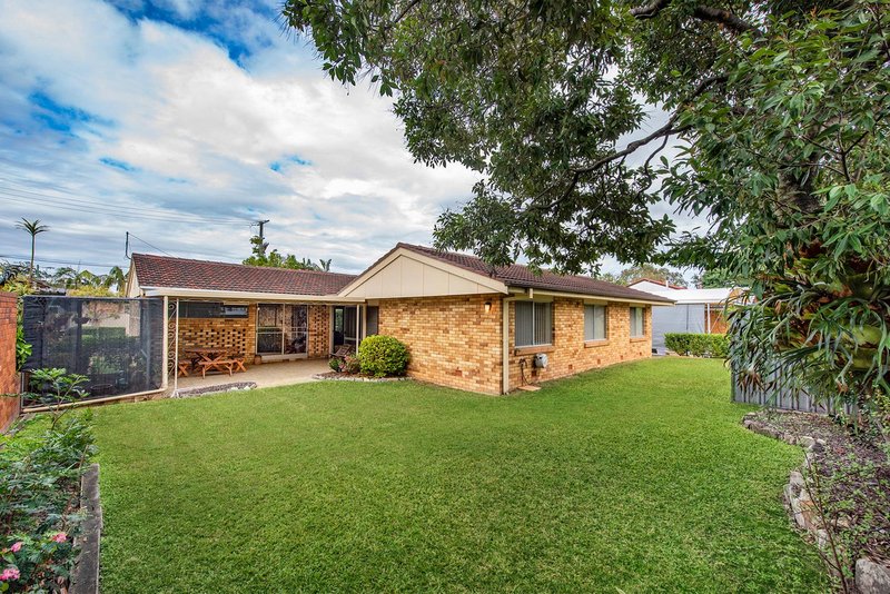 Photo - 3 Bluegum Street, Macgregor QLD 4109 - Image 18