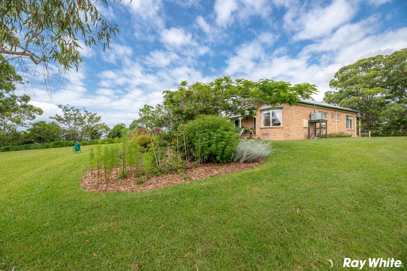 Photo - 3 Bombora Place, Hallidays Point NSW 2430 - Image 12