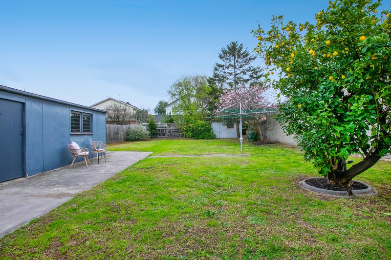 Photo - 3 Borang Street, Coburg North VIC 3058 - Image 13