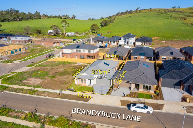 Photo - 3 Brandybuck Lane, Mernda VIC 3754 - Image 18