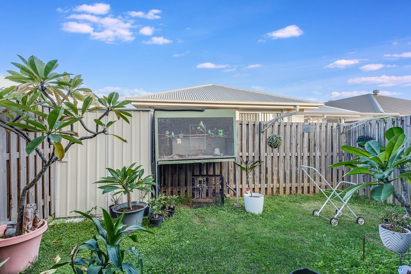 Photo - 3 Brandywine Street, Griffin QLD 4503 - Image 4