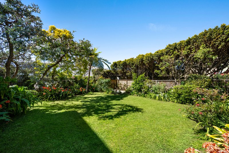 Photo - 3 Buena Vista Avenue, Mosman NSW 2088 - Image 4