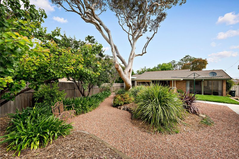 Photo - 3 Bundock Place, Gowrie ACT 2904 - Image 12