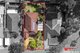 Photo - 3 Burbank Drive, Tuggerah NSW 2259 - Image 2