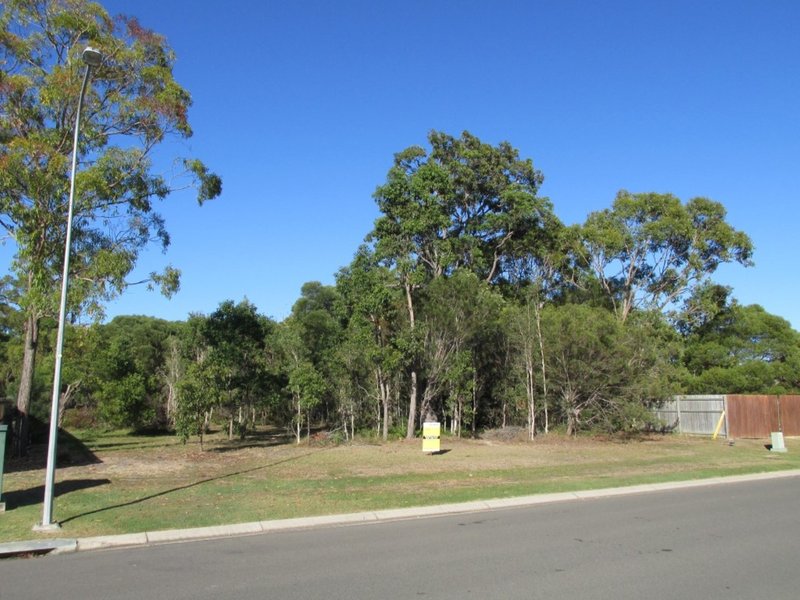 Photo - 3 Calla Way, Wondunna QLD 4655 - Image 5