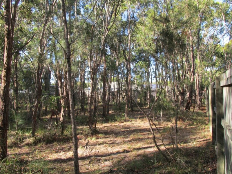 Photo - 3 Calla Way, Wondunna QLD 4655 - Image 8