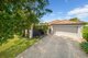 Photo - 3 Callistemon Pl , Currimundi QLD 4551 - Image 1