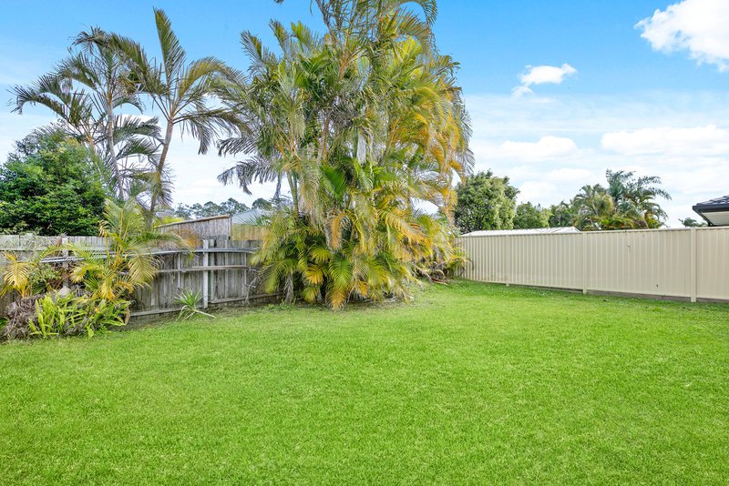 Photo - 3 Calluna Place, Mountain Creek QLD 4557 - Image 7