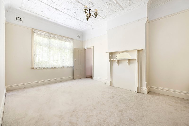Photo - 3 Carter Street, Randwick NSW 2031 - Image 5