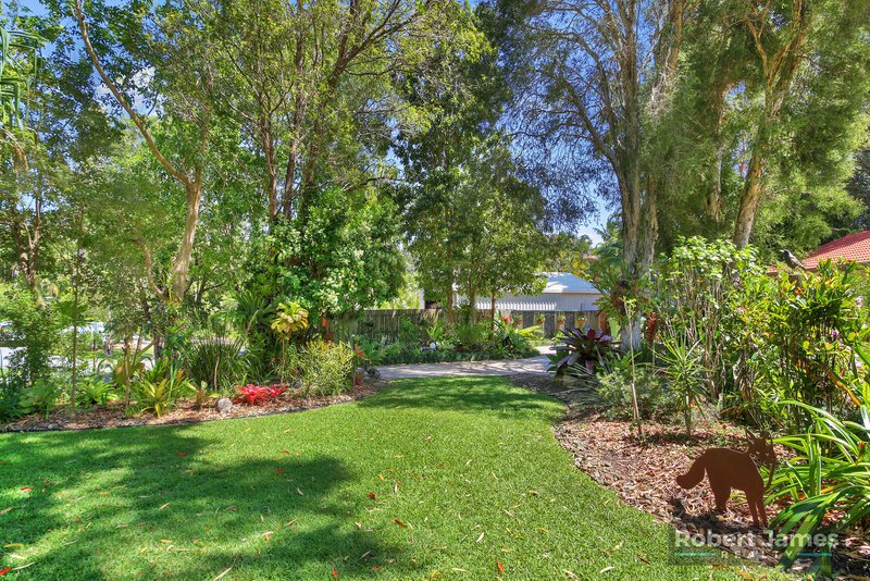 Photo - 3 Casuarina Court, Noosaville QLD 4566 - Image 8