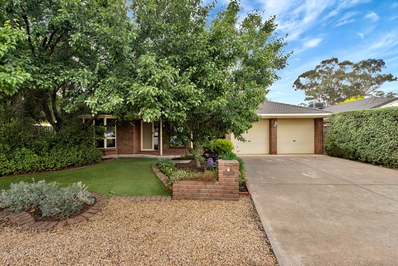 3 Chardonnay Drive, Nuriootpa SA 5355