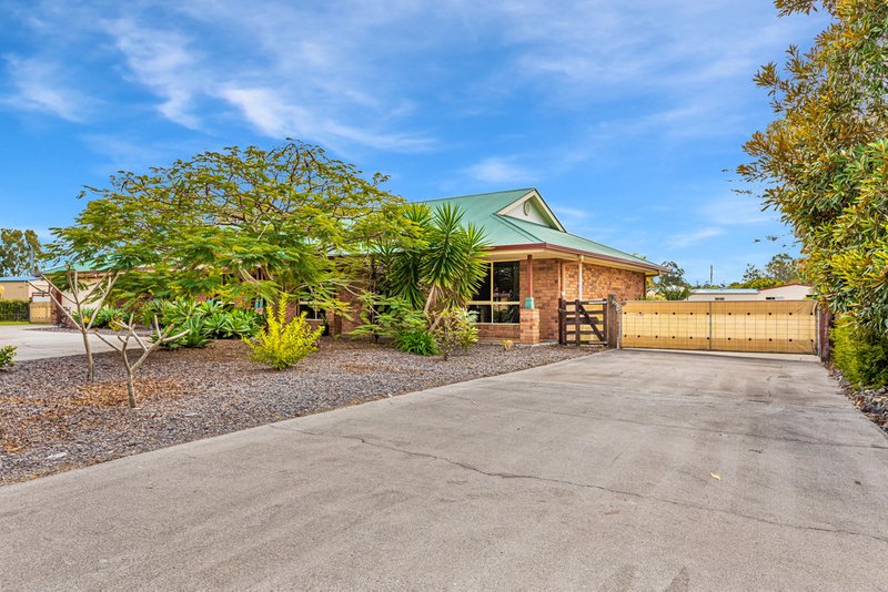 Photo - 3 Chatswood Court, Wamuran QLD 4512 - Image 19