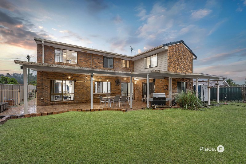 Photo - 3 Cistola Court, Albany Creek QLD 4035 - Image 2