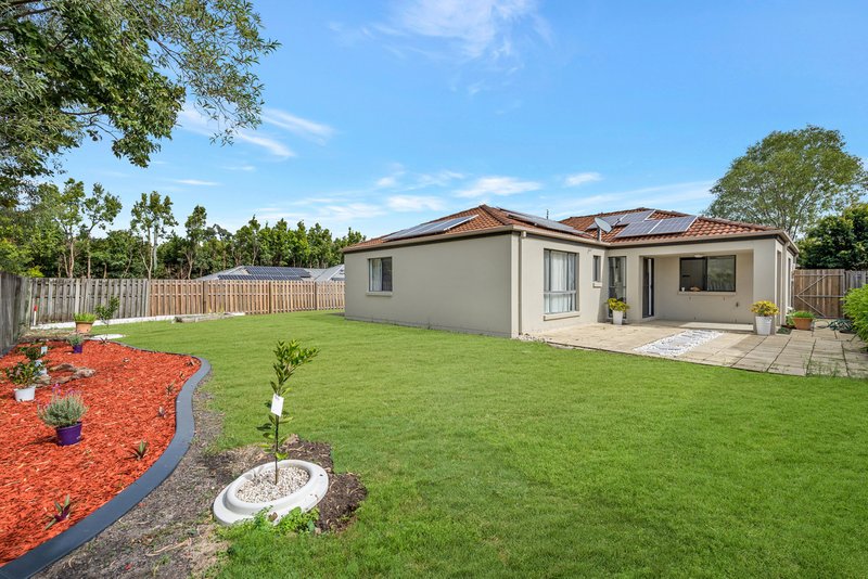 Photo - 3 Clydesdale Drive, Upper Coomera QLD 4209 - Image 4