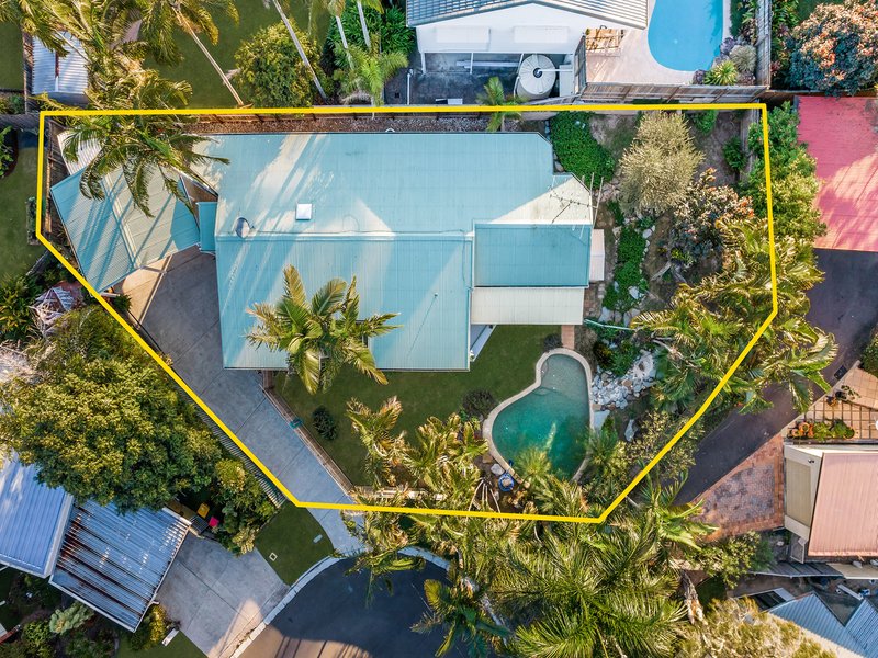 Photo - 3 Como Court, Buderim QLD 4556 - Image 6