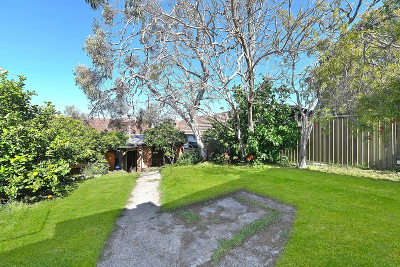 Photo - 3 Cook Street, Tempe NSW 2044 - Image 5