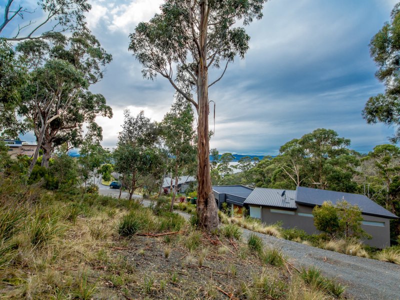 3 Correa Place, Tolmans Hill TAS 7007