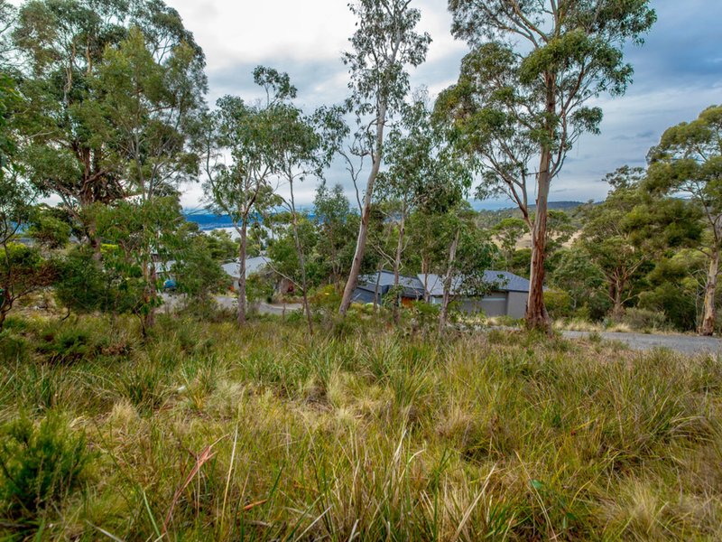 Photo - 3 Correa Place, Tolmans Hill TAS 7007 - Image 3