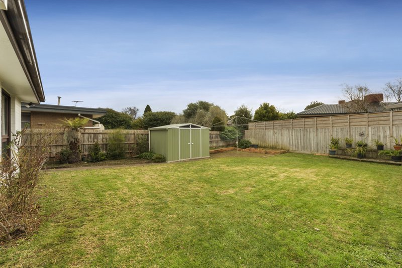 Photo - 3 Cotoneaster Court, Wheelers Hill VIC 3150 - Image 10