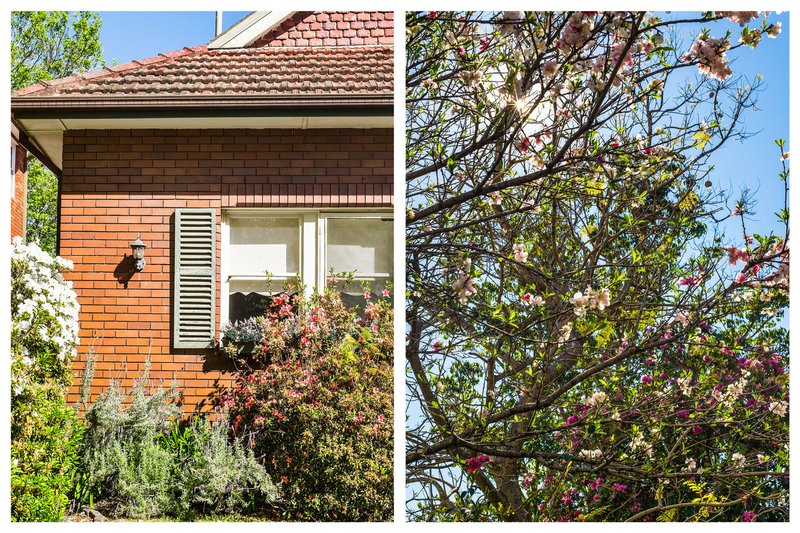 Photo - 3 Cotswold Road, Strathfield NSW 2135 - Image 9