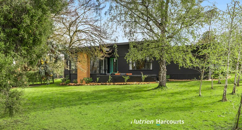 Photo - 3 Couch Street, Timboon VIC 3268 - Image 2