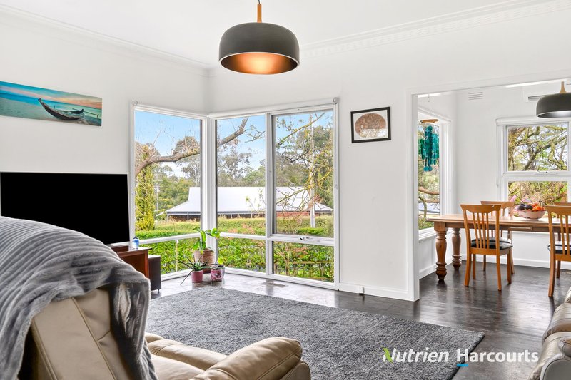 Photo - 3 Couch Street, Timboon VIC 3268 - Image 6