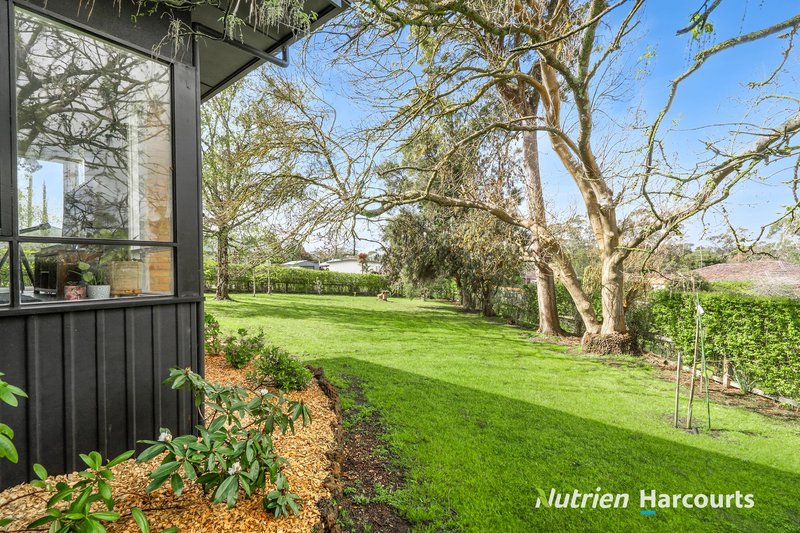 Photo - 3 Couch Street, Timboon VIC 3268 - Image 13