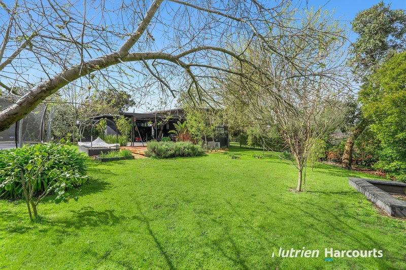 Photo - 3 Couch Street, Timboon VIC 3268 - Image 14