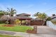 Photo - 3 Crawley Court, Vermont South VIC 3133 - Image 1