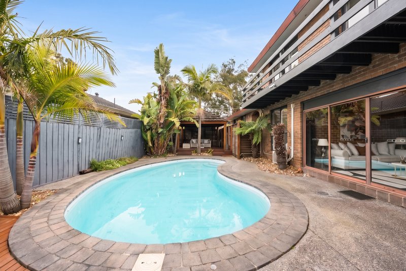 Photo - 3 Crawley Court, Vermont South VIC 3133 - Image 15