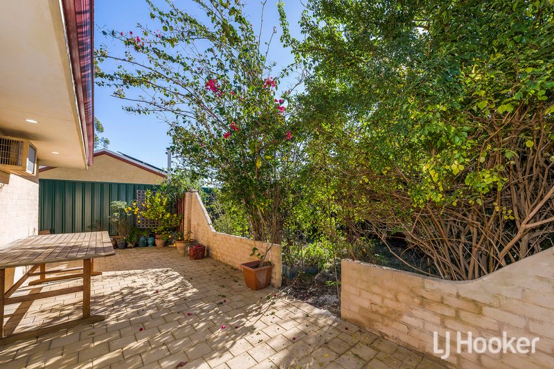 Photo - 3 Cue Court, Gosnells WA 6110 - Image 23
