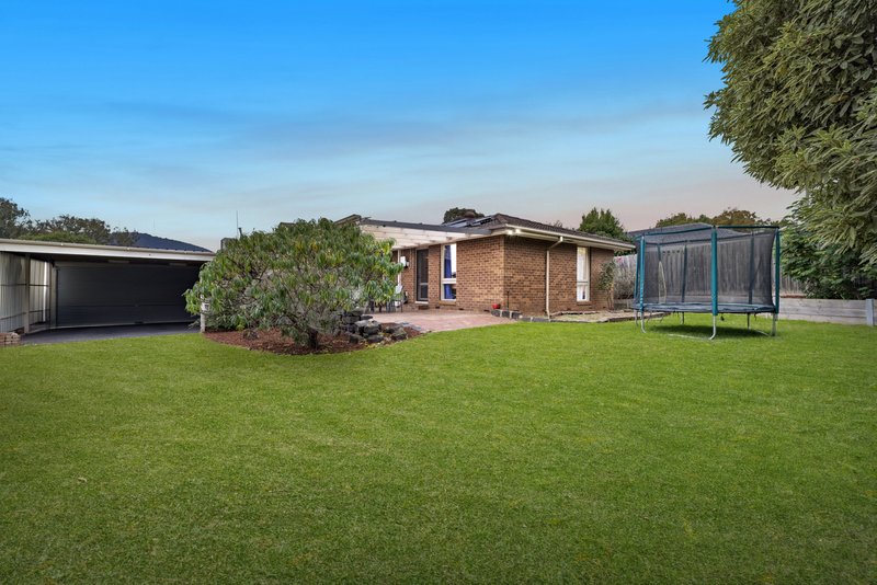 Photo - 3 Custer Grove, Bayswater North VIC 3153 - Image 15
