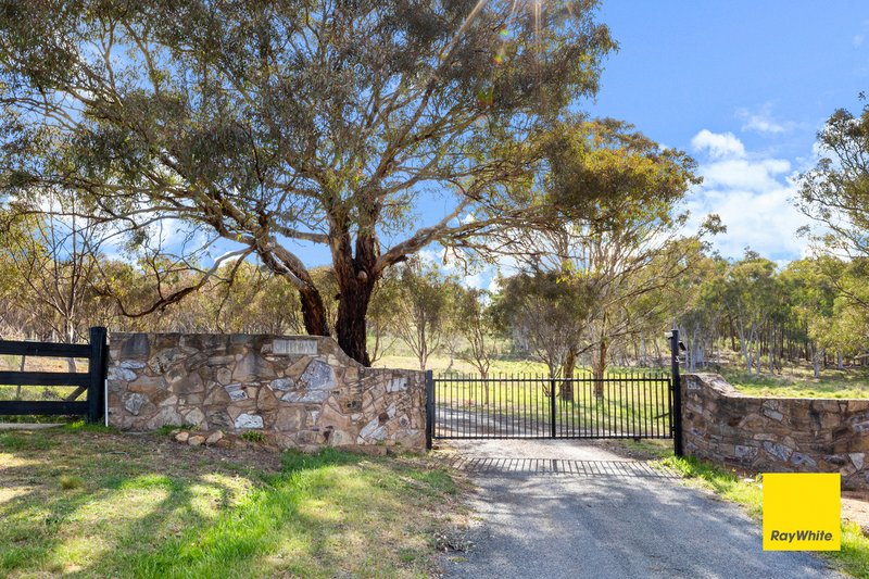 Photo - 3 Darmody Place, Sutton NSW 2620 - Image 4