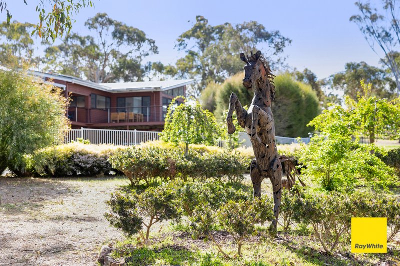 Photo - 3 Darmody Place, Sutton NSW 2620 - Image 13