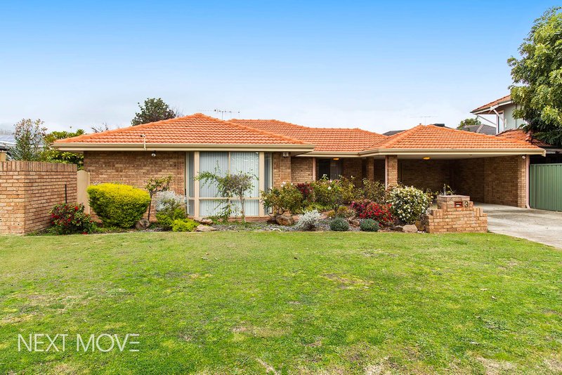 3 David Street, Mount Pleasant WA 6153