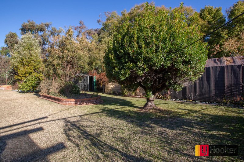 Photo - 3 Dayal Street, Tamworth NSW 2340 - Image 4