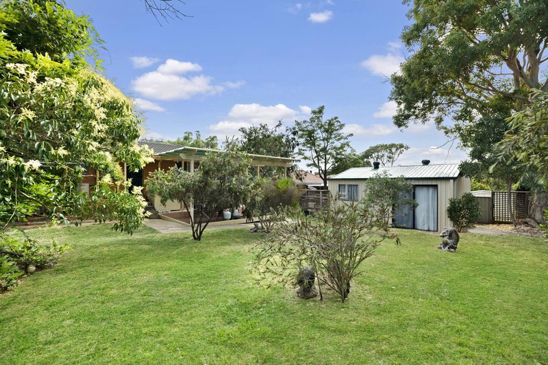 Photo - 3 Dean Place, Charnwood ACT 2615 - Image 15