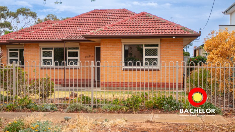 3 Druce Avenue, Northfield SA 5085