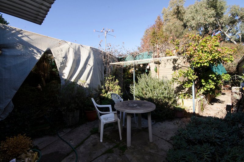 Photo - 3 Dublin Street, Wodonga VIC 3690 - Image 6