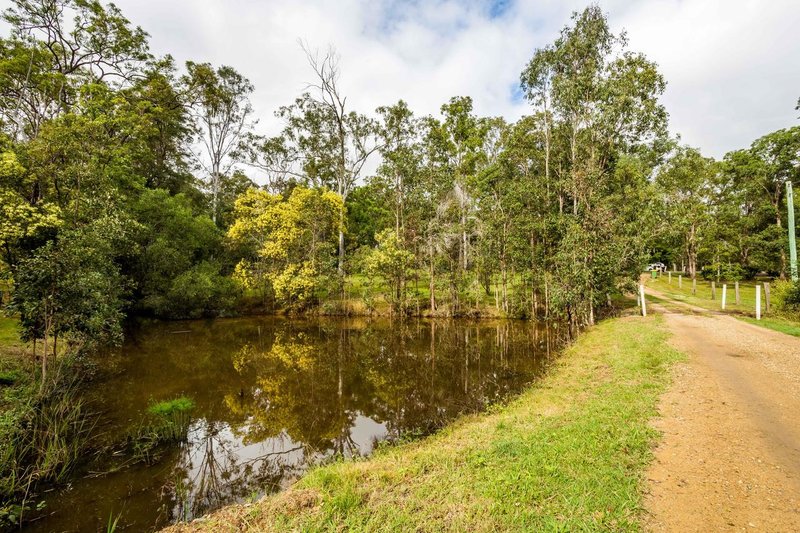 Photo - 3 Edith Road, Mothar Mountain QLD 4570 - Image 19