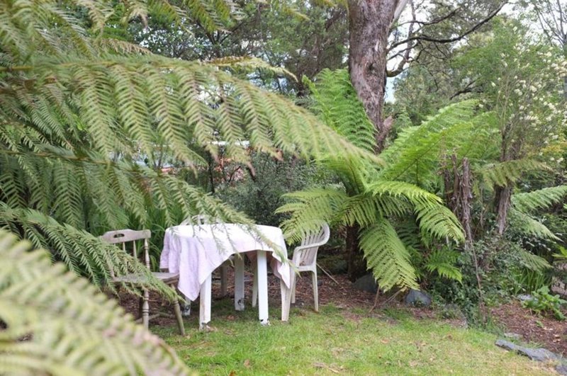 Photo - 3 Edward Street, Rosebery TAS 7470 - Image 18