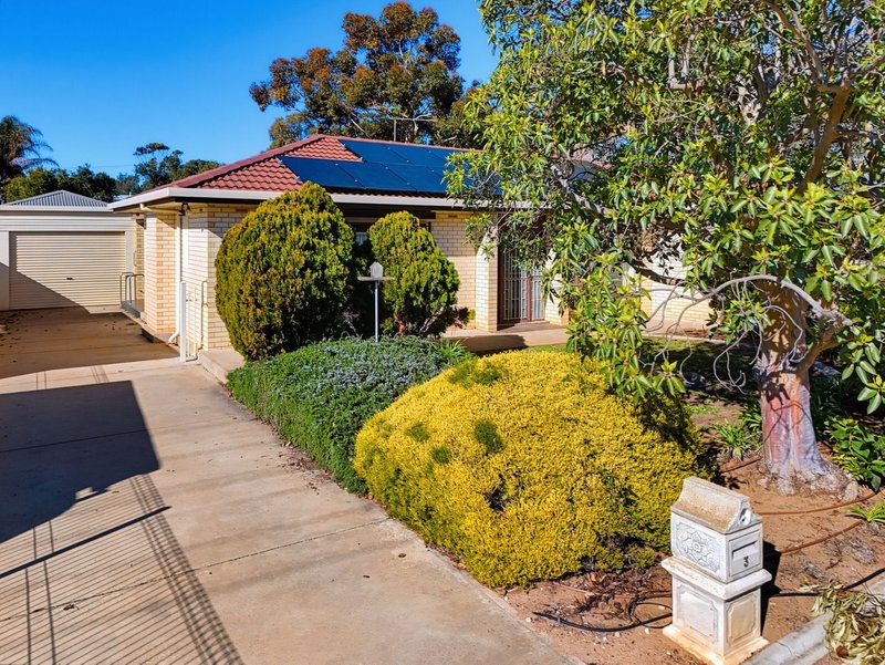 Photo - 3 Elm Avenue, Murray Bridge SA 5253 - Image 4