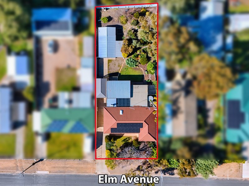 Photo - 3 Elm Avenue, Murray Bridge SA 5253 - Image 28
