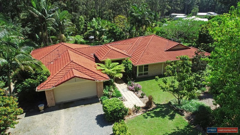 Photo - 3 Ferntree Court, Kew NSW 2439 - Image 13