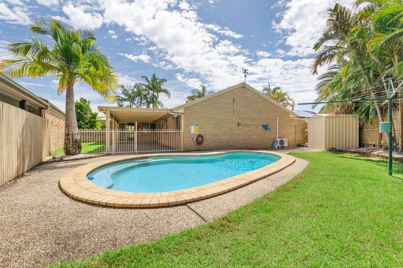 Photo - 3 Franklin Place, Sippy Downs QLD 4556 - Image 7